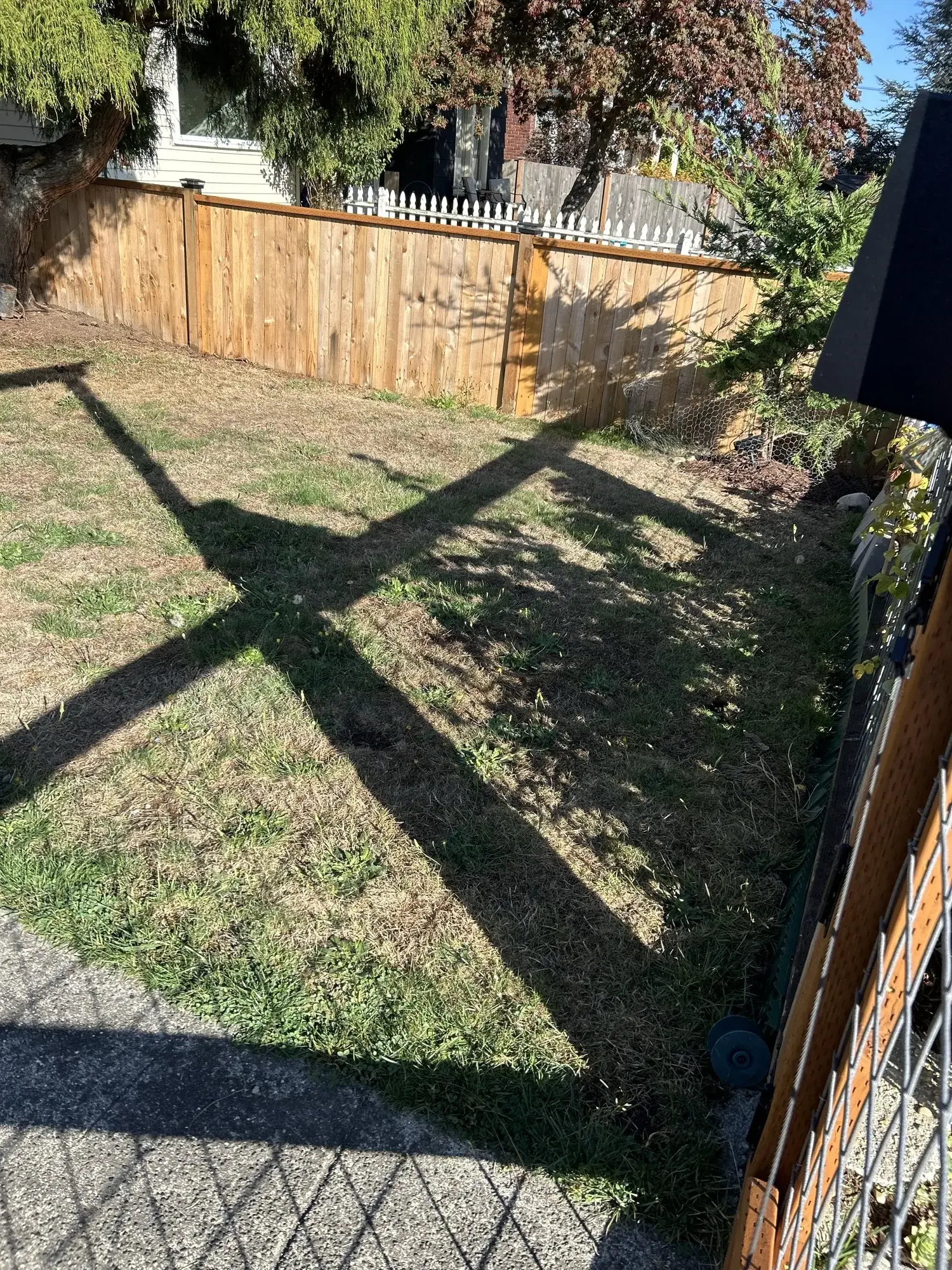 Finished cedar privacy fence along a backyard property line